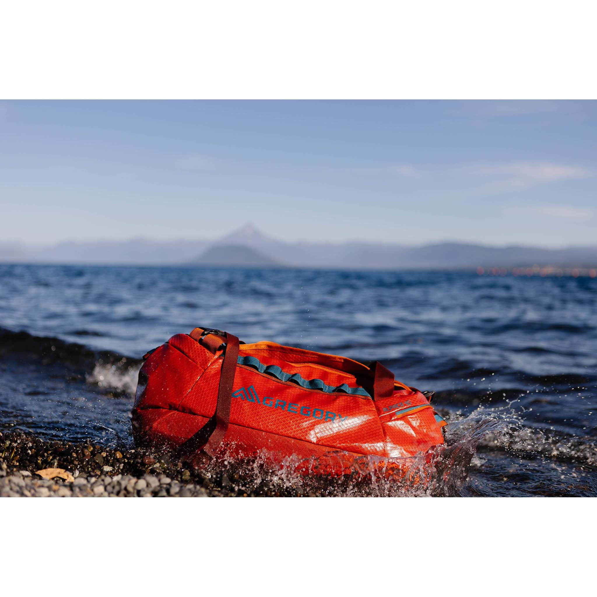 Alpaca 40 - Image 11