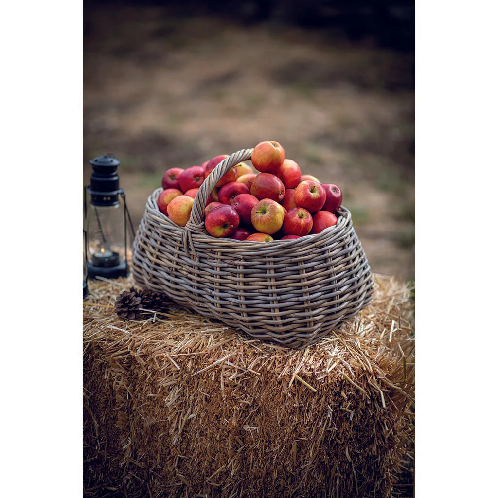 Bembridge Forage Basket - Image 3