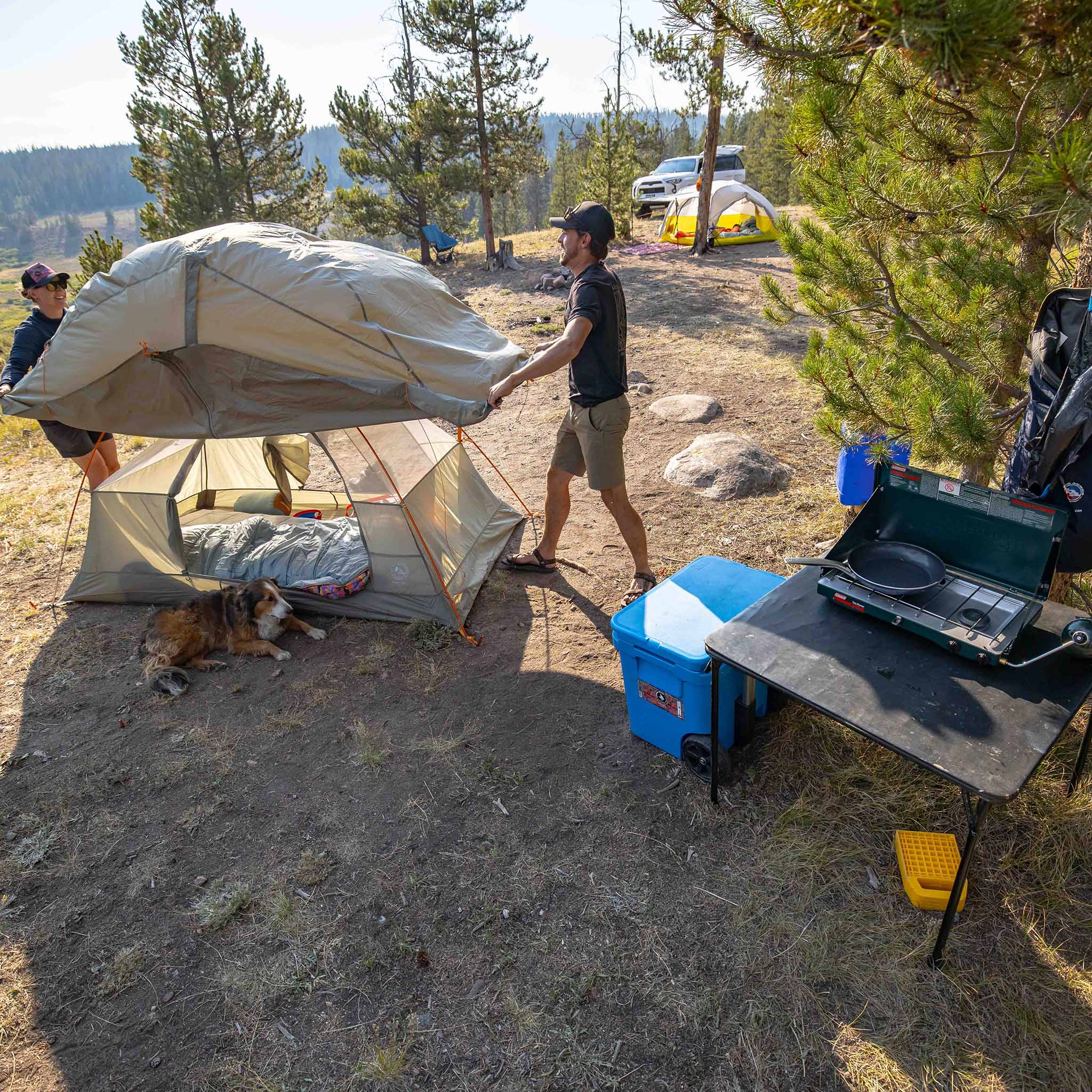 Blacktail 3 - Image 10