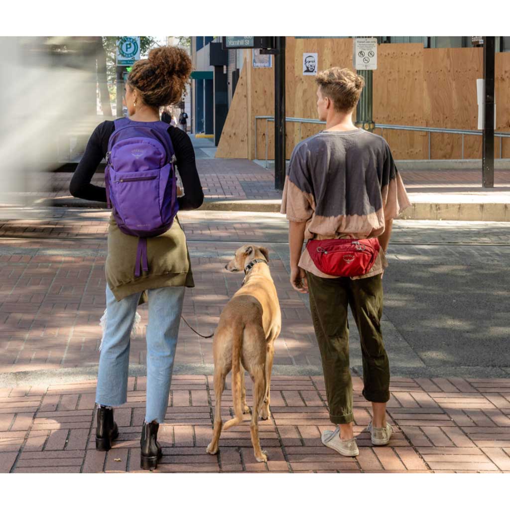 Daylite Waist - Image 6