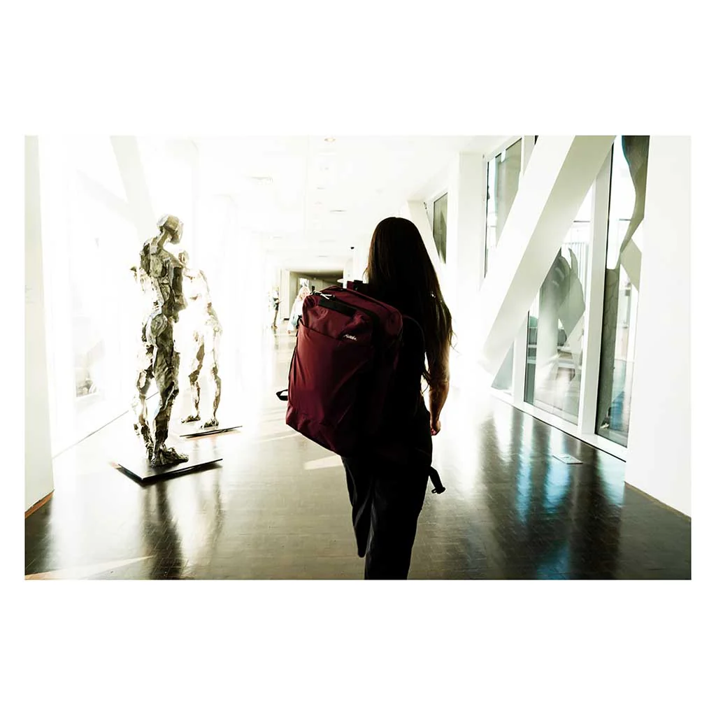 GlobeRider35 Travel Backpack - Image 22