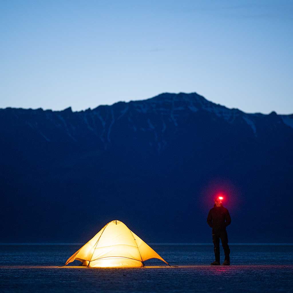 HEADY+ - Image 12