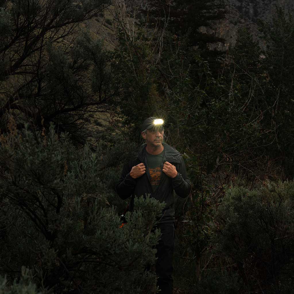 HEADY2 - Image 13