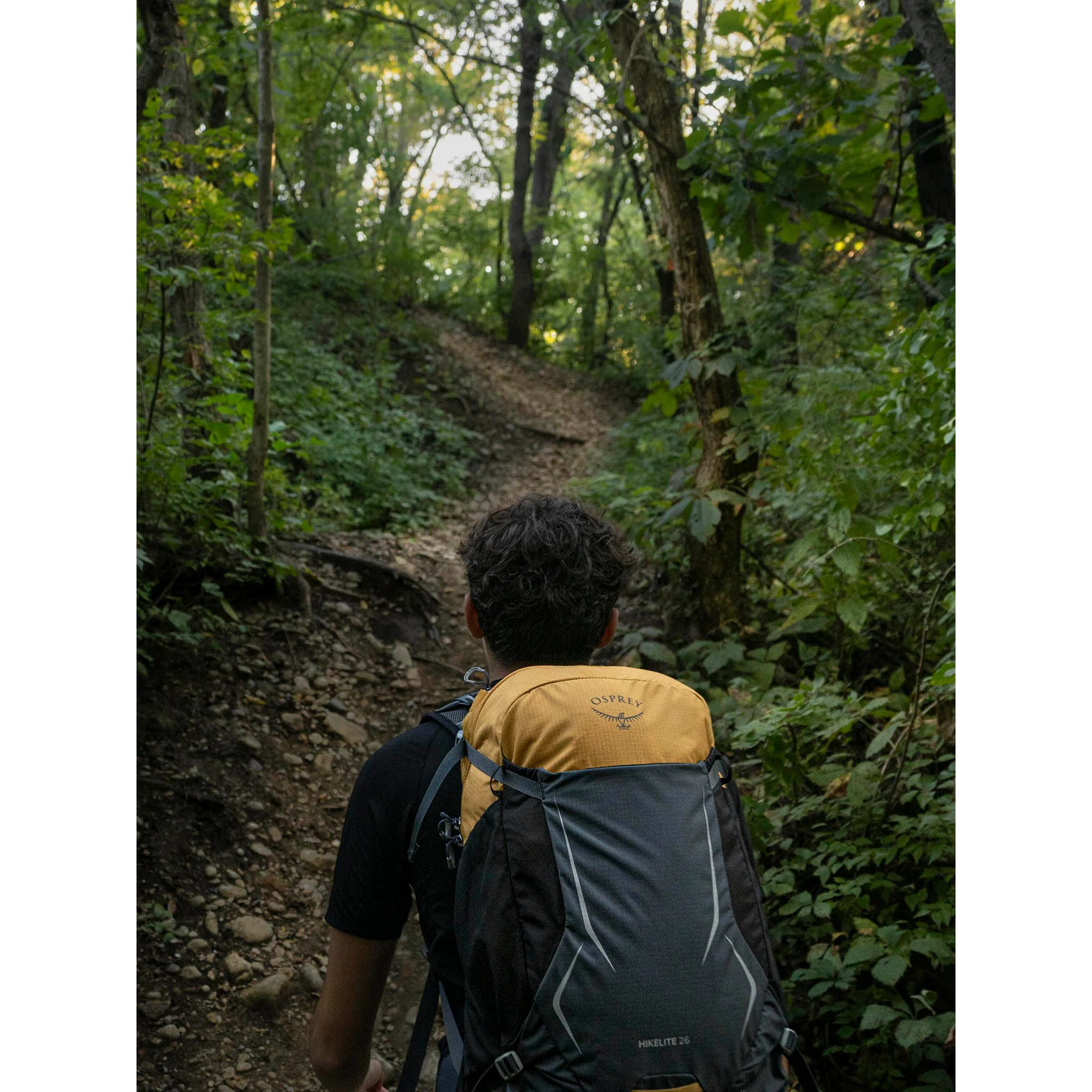 Hikelite 26 - Image 10