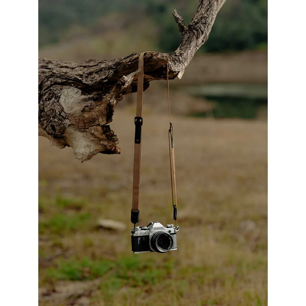 Leash - Image 13