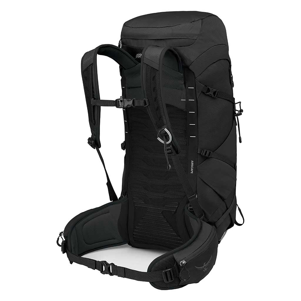 Talon 33 - Image 2
