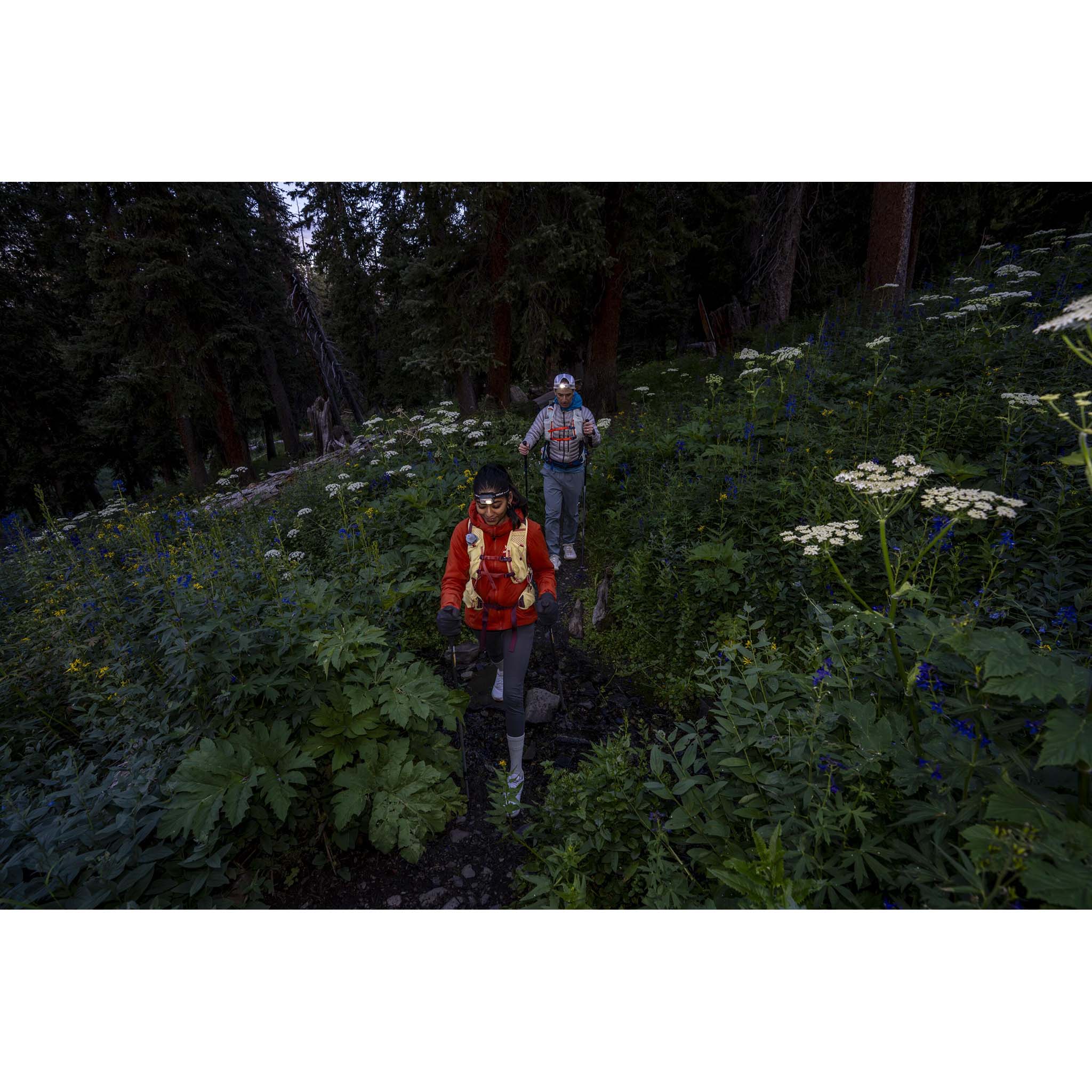 Tempest Velocity 20 | Women's - Image 24